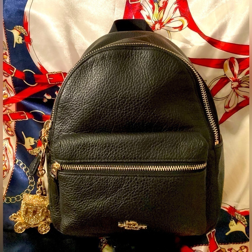 ‼️SOLD‼️COACH PEBBLE LEATHER AND NYLON MINI BACKPACK - Picture 5 of 8